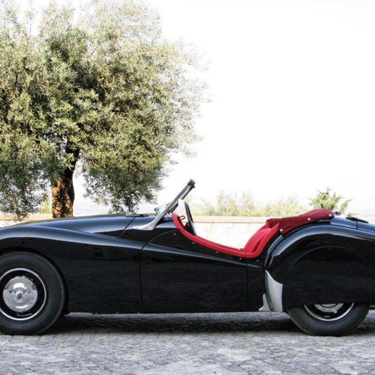 Triumph TR2 fitted with Bright Red Leather Cappings, and Red Mohair Hood Frame Cover.